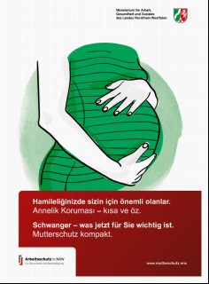 Vorschaubild 1: Schwanger - was jetzt für Sie wichtig ist.-türkisch-