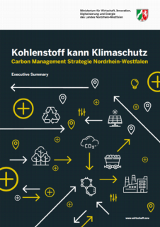 Deckblatt_Kohlenstoff kann Klimaschutz_exe. Summary.PNG