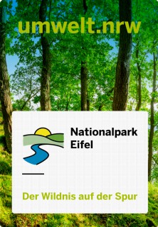 Startseite Nationalpark Eifel